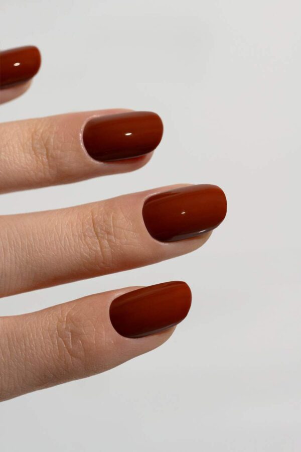 Photo du PIGMENTIX Russet 32 de la collection HELLO AUTUMN